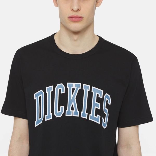 Dickies Aitkin T-shirt Zwart