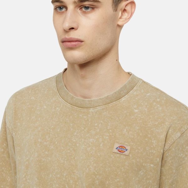 Dickies Newington T-shirt Beige