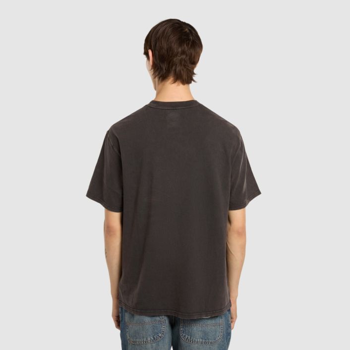 Dickies Plentywood T-shirt Zwart