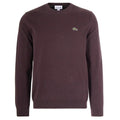 Lacoste Pullover Sweater Bruin