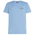 Tommy Hilfiger Outline Flag Script T-shirt Licht Blauw